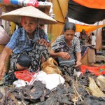 Matador U Photo Lab: Work