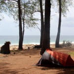 Lazy Days on the Beaches of Peleliu