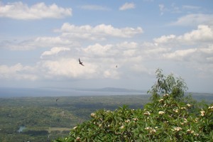 Bohol Island, the Philippines