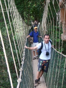Canopy Walkway in the rainforest