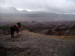 Bromo Landscape