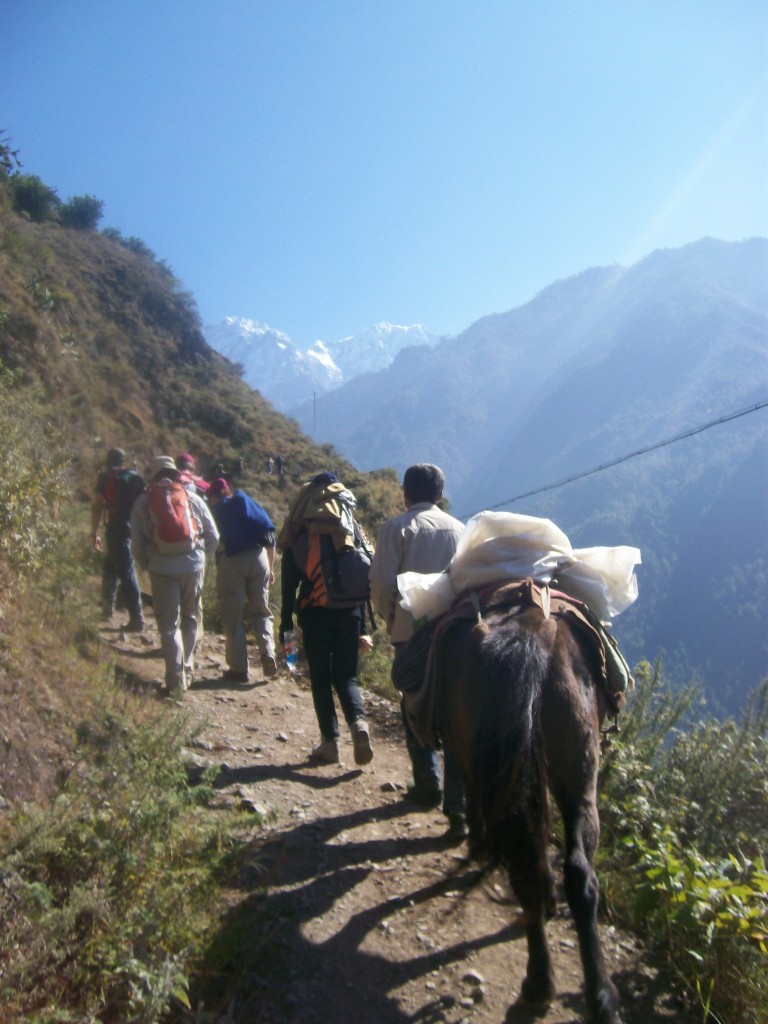 hiking in tiger leaping gorge