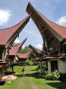Tana Toraja house