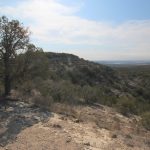 Balcones Canyonland: Cactus and Rocks