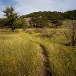 Doeskin Ranch, Near and Dear