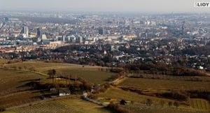 Vineyards and Vienna seen from the Wienerwald.