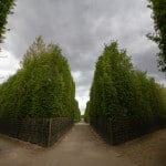 The Gardens of Versailles: My Favorite Escape
