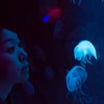 Aquarium de Paris: the Cineaqua In Trocadero