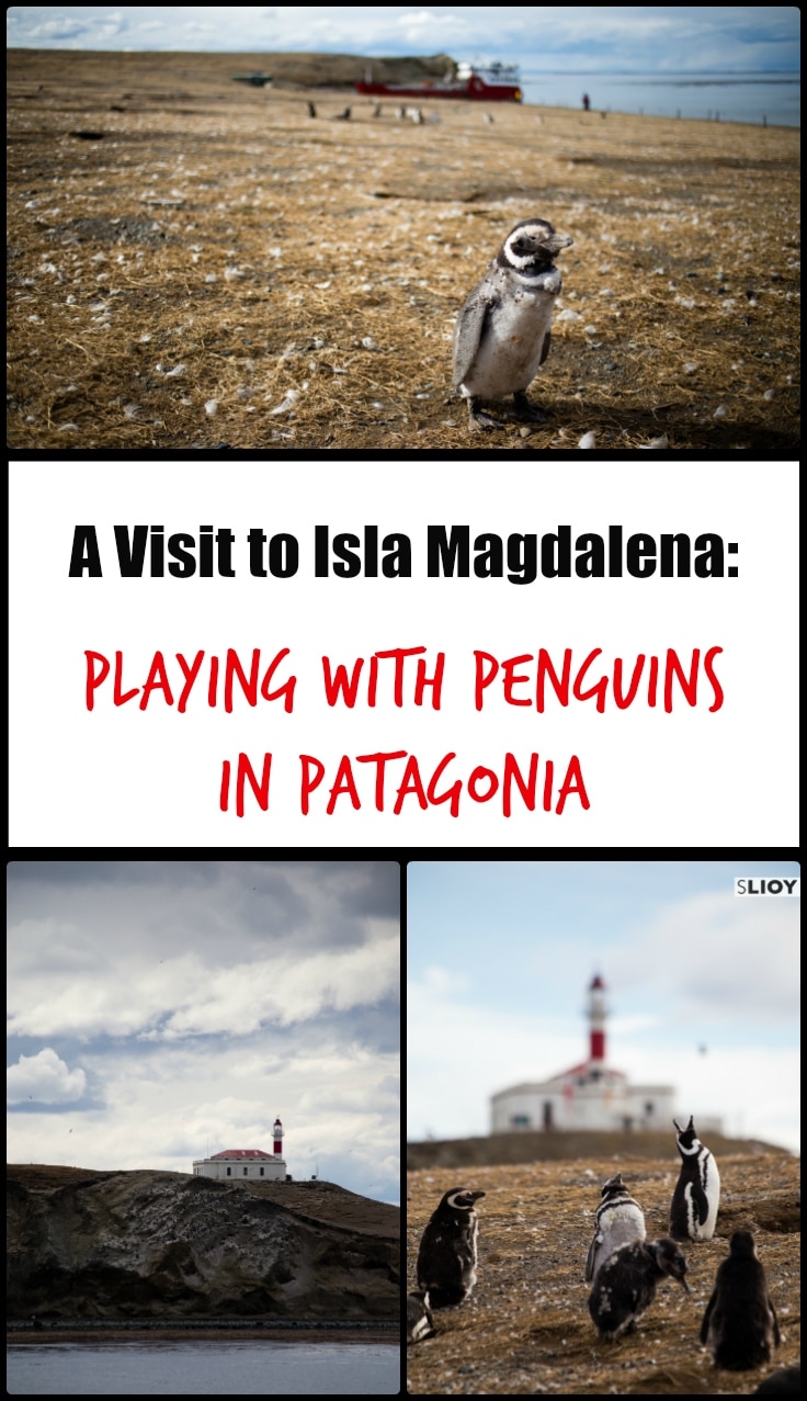 A Visit to Isla Magdalena - Playing with Penguins in Patagonia.