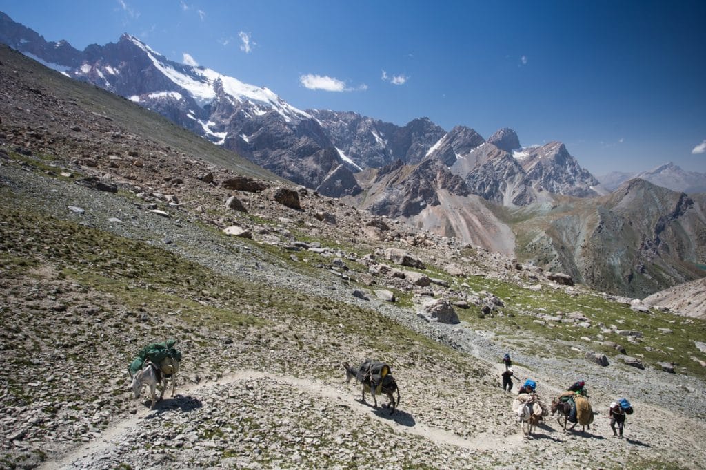 Loaded donkeys climbing a winding mountain trail